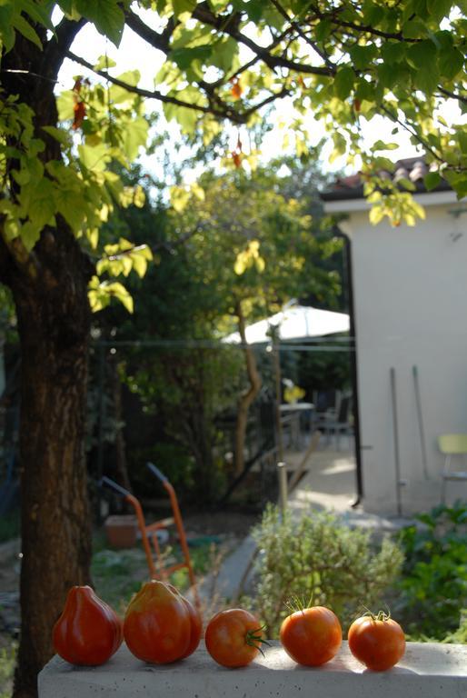 Holiday home Da Irene Mestre